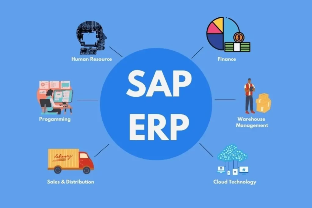 Features of SAP ERP software