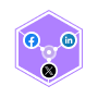 LinkedIn, Facebook, Twitter/X